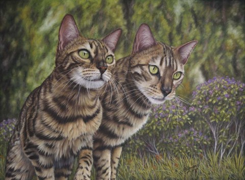Framed Albus and Boo the Bengal Cats Print