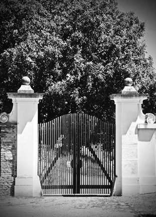 Framed Wooden Gate Black and white Print