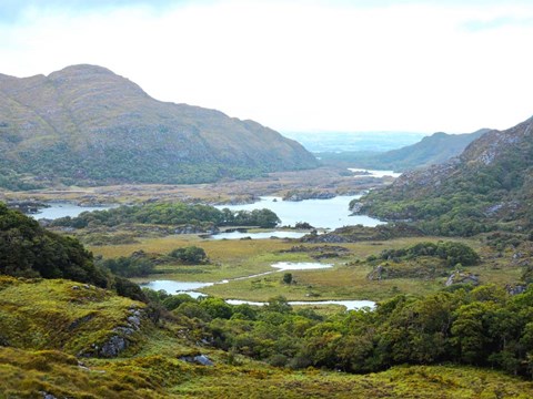 Framed Ladie's View Print