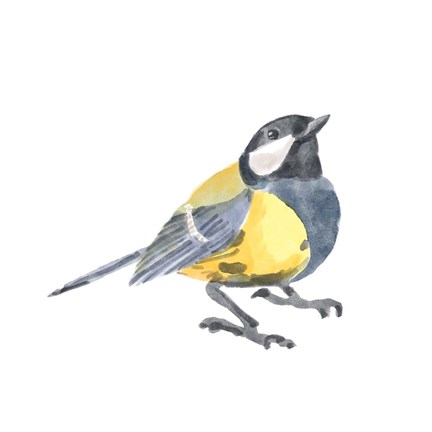 Framed Songbird III Print