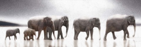 Framed Elephant Mirage Print