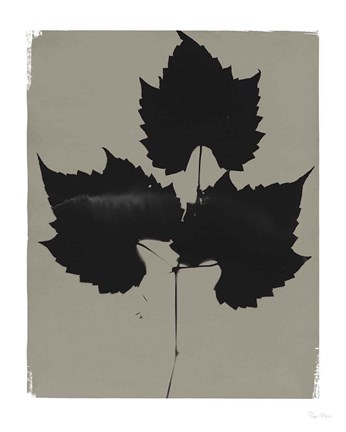 Framed Nature by the Lake Leaves I Gray Print