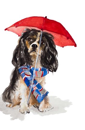 Framed King Charles Spaniel In The Rain Print