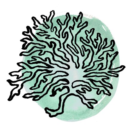 Framed Coastal Contours IV Print