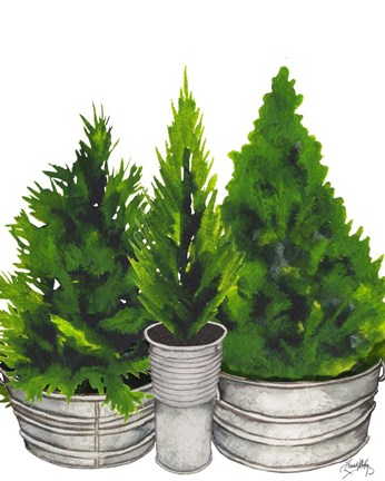Framed Evergreens in Galvanized Tins Print