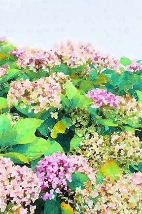 Framed Garden Beauties I Print