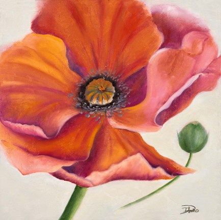 Framed Poppy Flower II Print