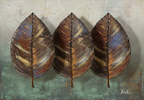 Framed Three Amigos I Print