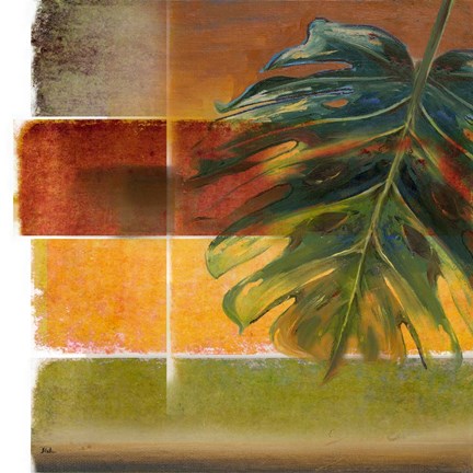 Framed Morning Light II Print