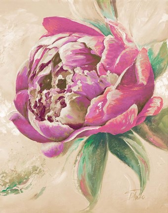 Framed Beautiful Bouquet of Peonies in Pink II Print