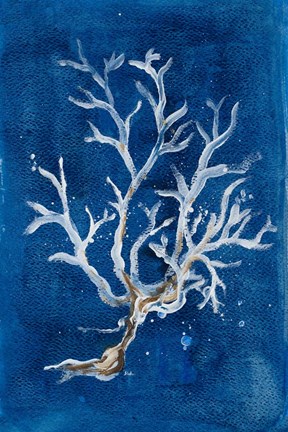 Framed White Corals I Print