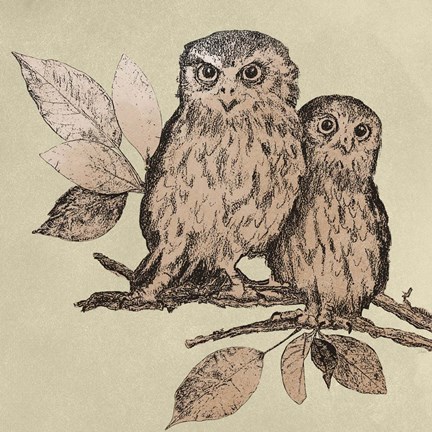 Framed Neutral Little Owls II Print
