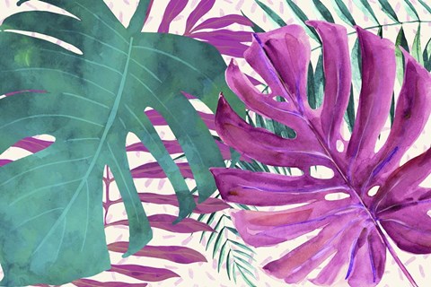 Framed Rainforest Canopy II Print