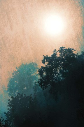 Framed Jungle Canopy At Sunset Print