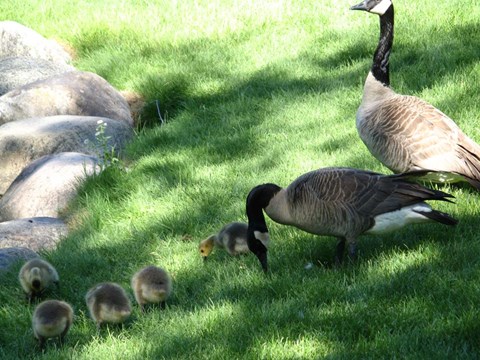 Framed Family Time Print