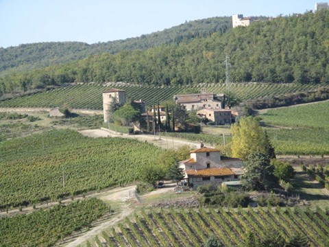 Framed Tuscany 2 Print