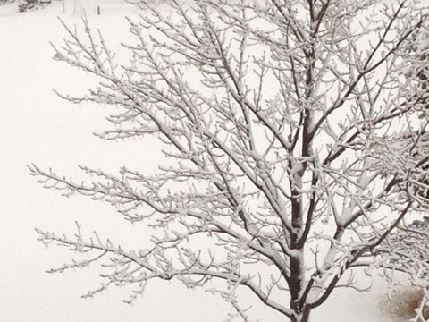 Framed Winter Serenity Print