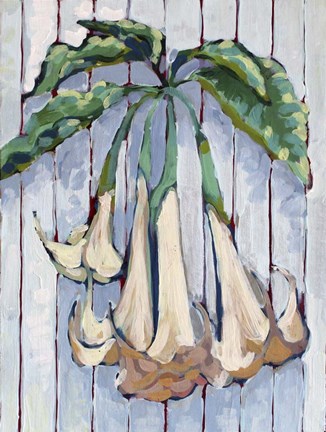 Framed Pin Stripe and Trumpet Vine Print