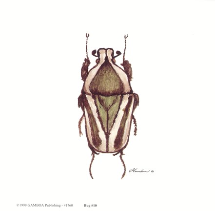 Framed Bug #10 Print