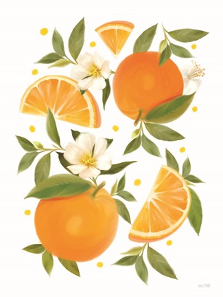 Framed Citrus Orange Botanical Print