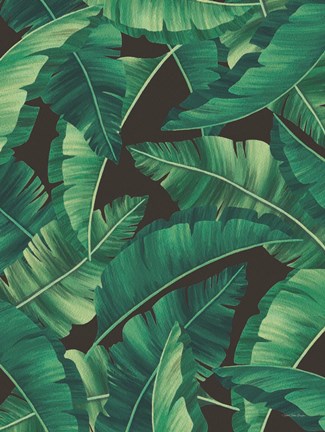 Framed Tropical Leaves II Print