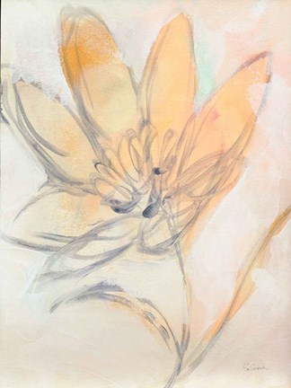 Framed Flower Loops  II Print