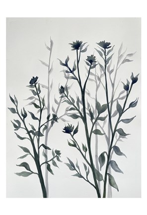 Framed Botanical Inspiration 2 Print