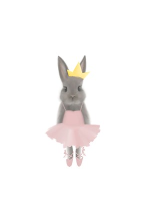 Framed Full Body Ballet Bunny Print