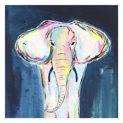 Framed Tie Dye Elephant Print