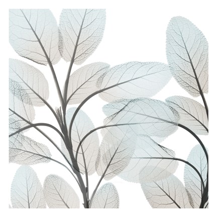 Framed Sandy Blooms 1 Print