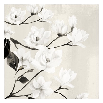 Framed Magnolias Print