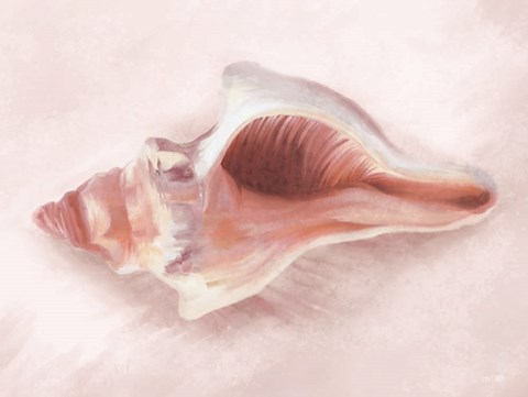 Framed Conch Shell Blush II Print