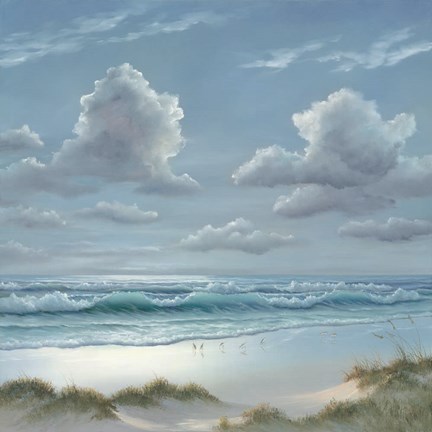 Framed Shoreline II Print