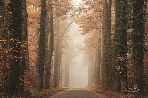Framed Foggy Autumn Road Print