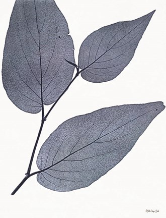 Framed Indigo Nature Study II Print