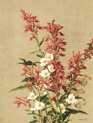 Framed Meadow Flowers 2 Print