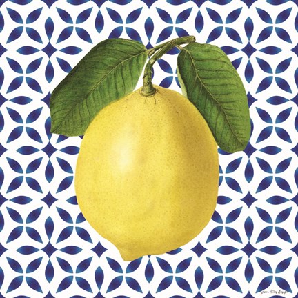 Framed Mediterranean Lemon Print