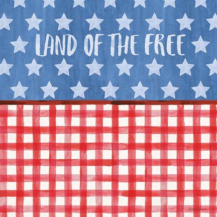 Framed Americana Style VI Print