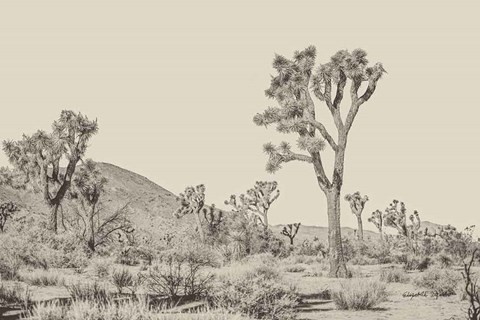 Framed Joshua Tree II Neutral Print