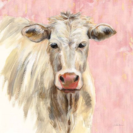 Framed White Cow on Pink Print