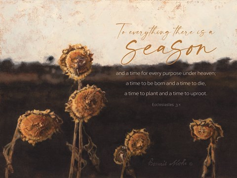 Framed Sunflower Season Print