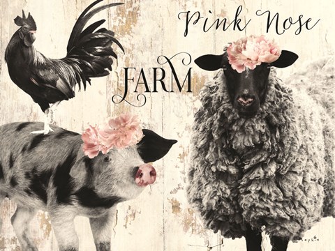 Framed Pink Nose Farm II Print