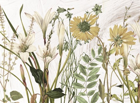 Framed All Dressed Up I Print