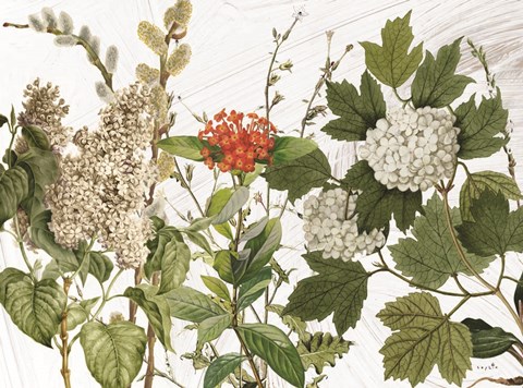 Framed All Dressed Up II Print