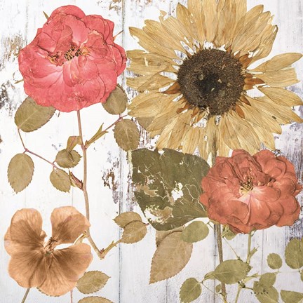 Framed Earth to Petals I Print