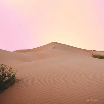 Framed Calm Dune Print