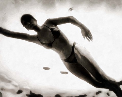 Framed Evening Swim III Print