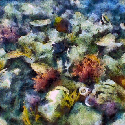 Framed Sea Life I Print