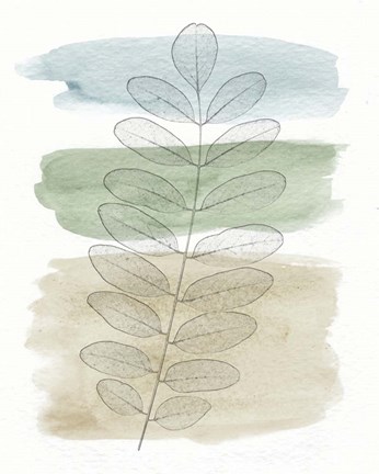 Framed Spring Branch I Print