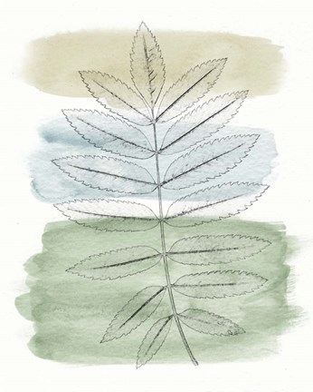 Framed Spring Branch II Print